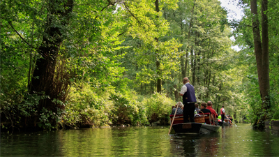 Spreewald, sparris och vin